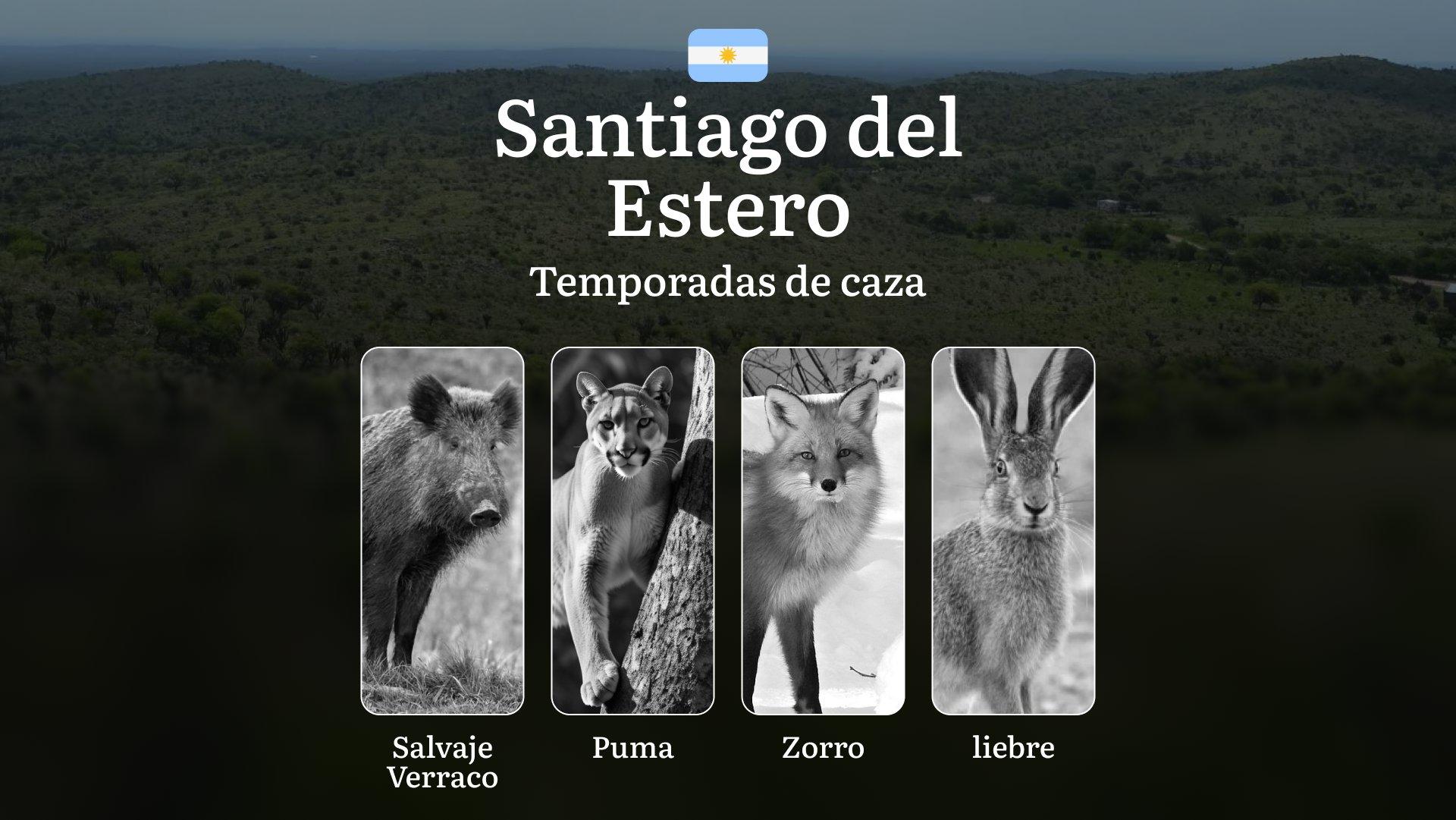 Santiago del Estero, Argentina: fechas, permisos, reglas y tácticas, temporadas de caza en la provincia, características de la presa, restricciones y especies protegidas