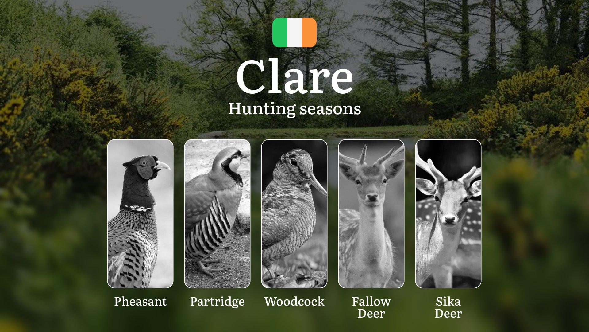The Call of the Wild: Uncovering Hunting Calendar, Seasons and Strategies in County CLARE’S Countryside