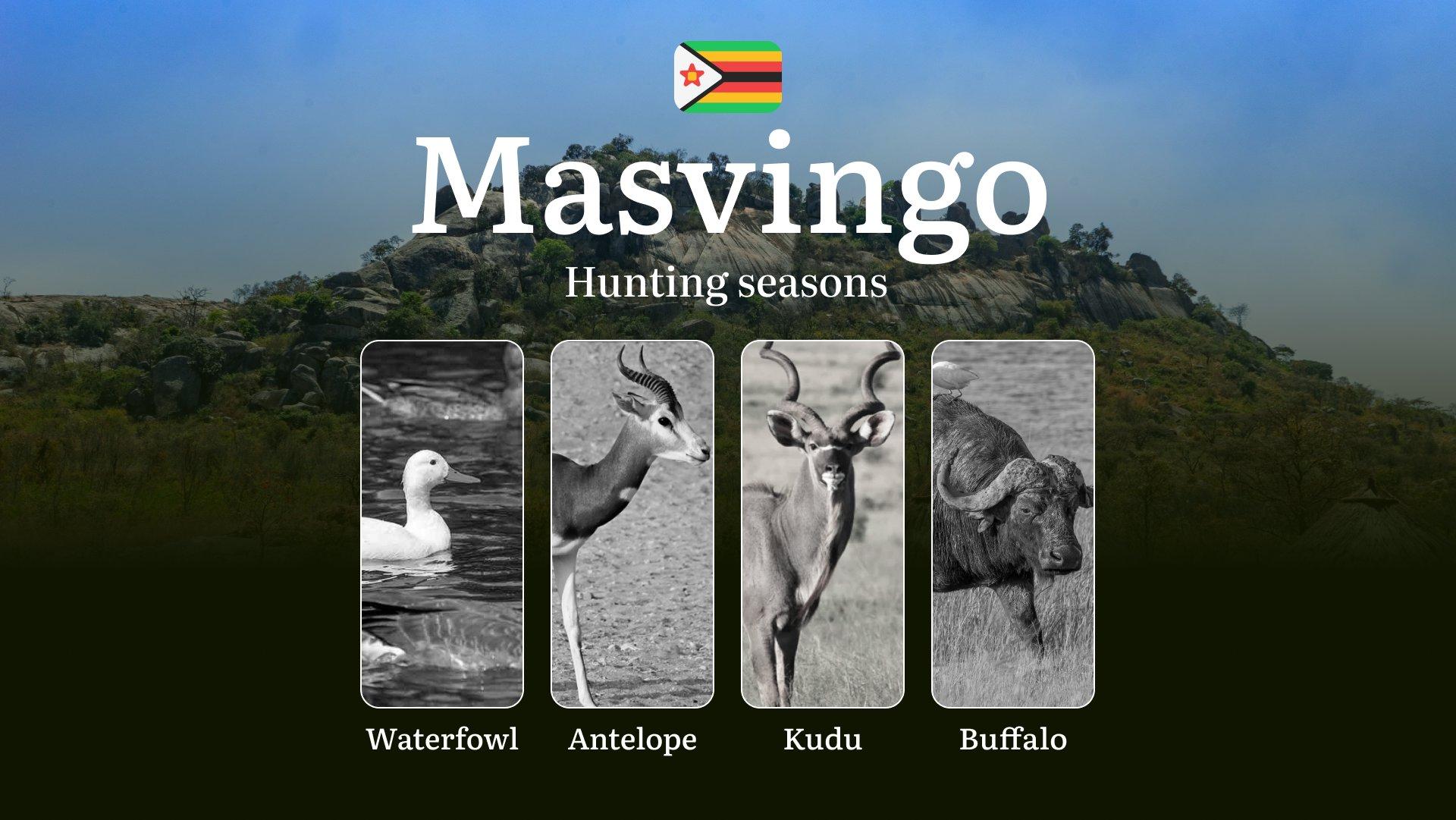 Seasons of Hunting in Zambia’s MASVINGO Region: Hunting Seasons, Dates, Licenses, Rules and  Documents, Club Assistance and Application Process
