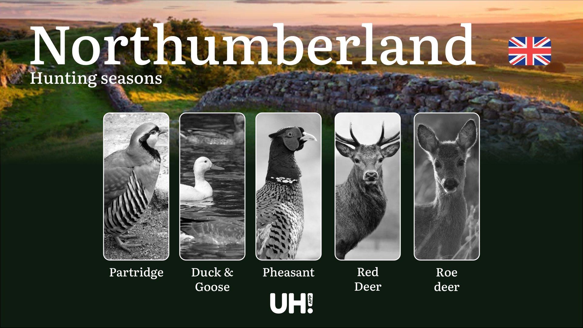 Hunting in Northumberland: Season Dates, Legal Limits, Licensing & Expert Tips