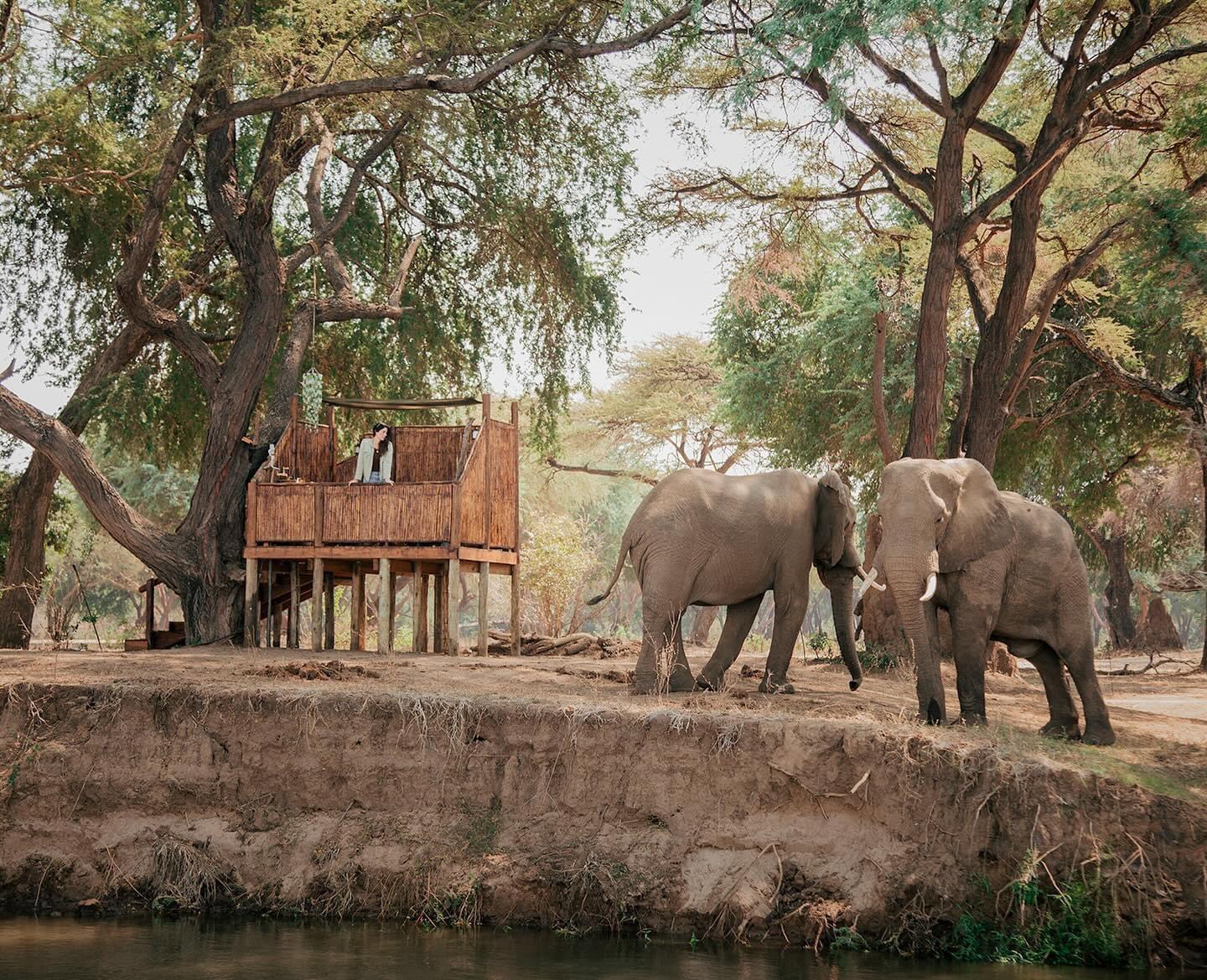 Africa’s favourite bushcamp, as voted by the readers of #travelafricamagazine.