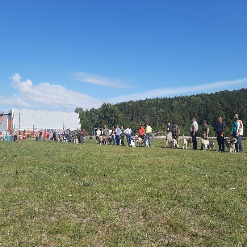 Отчет по проведению Северо-Кузбасской выставки породных охотничьих собак.