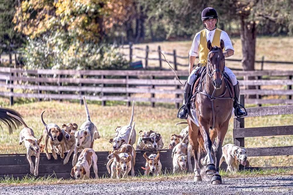 I am in the process of planning a trip to Pennsylvania to photograph the Cheshire Vixen Hunt on March 8th.