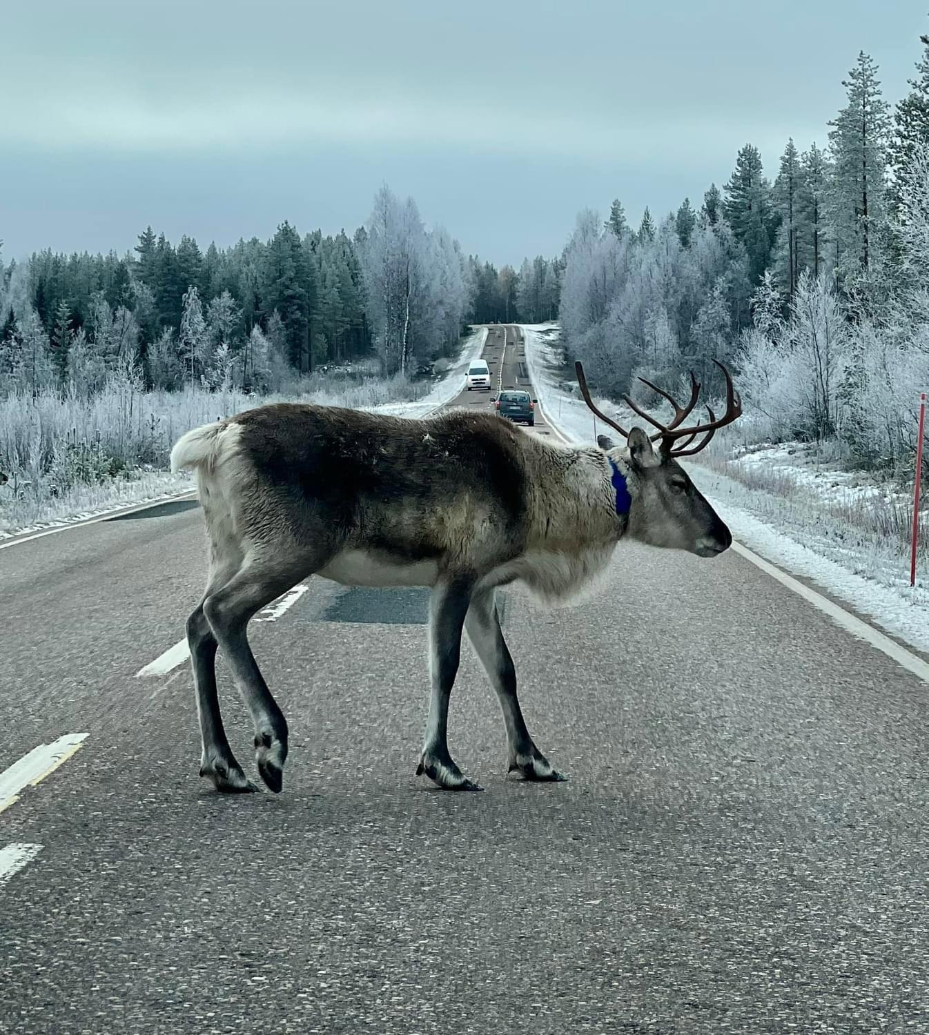 View from our car window.