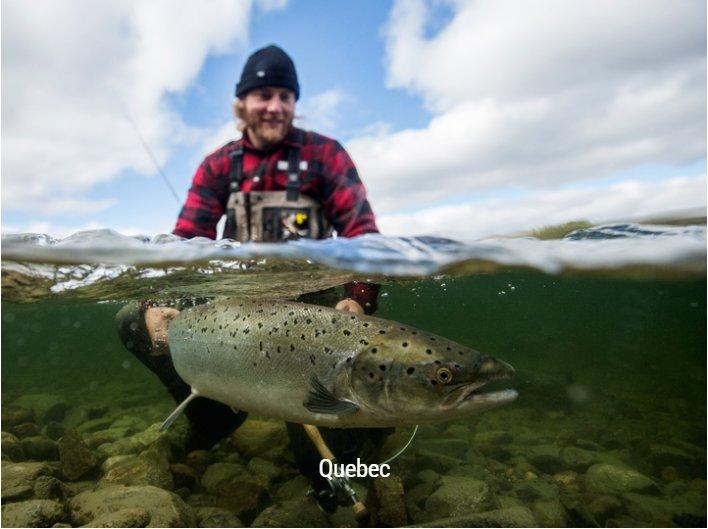 Canadian Federation of Outfitters (CFO - Canadian Federation of Outfitters)