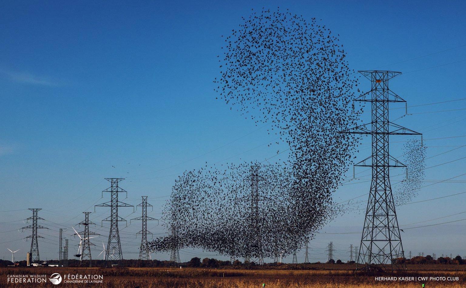 Winners of the 2024 Reflections of Nature Photo Contest.