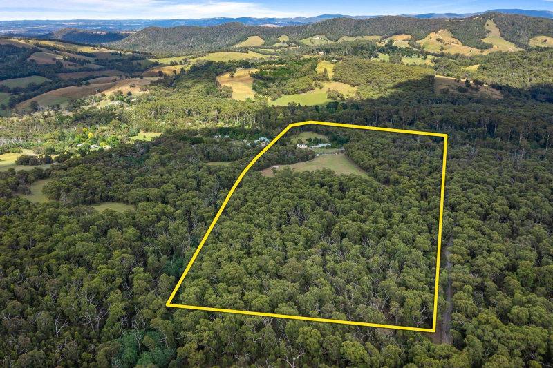 For Sale: "Chum Creek" - Where Space & Tranquility Live