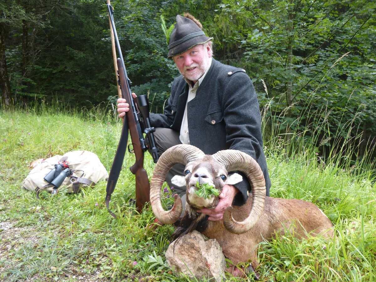 Jagd in Sankt Johann im Pongau: Lebensraum, Tradition, Wild, Jagdmethoden, Jagdzeiten, Rechtliches, Besonderheiten, Jagderlebnis 