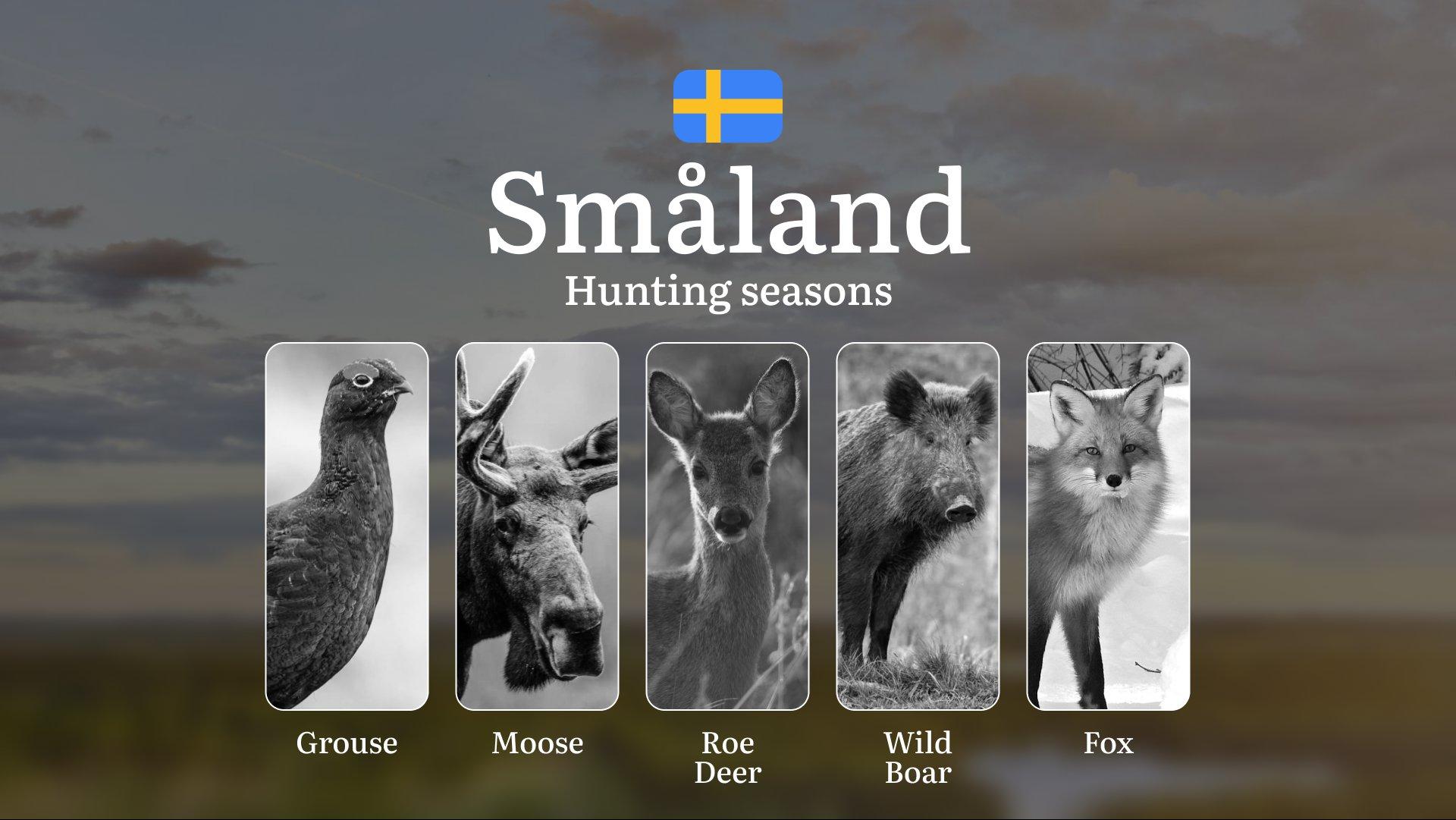 Hunting Periods and Permits in SMÅLAND: A Detailed Look at Game Movement Throughout the Year, Seasonal Limits, and How to Apply for a Hunting License in the Area