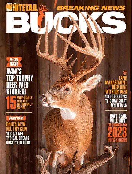 North American Whitetail