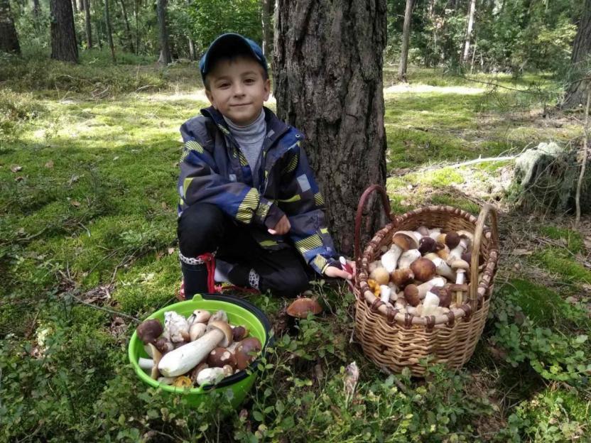 В разгар сезона «тихой охоты» врачи предупреждают об опасности отравления грибами.