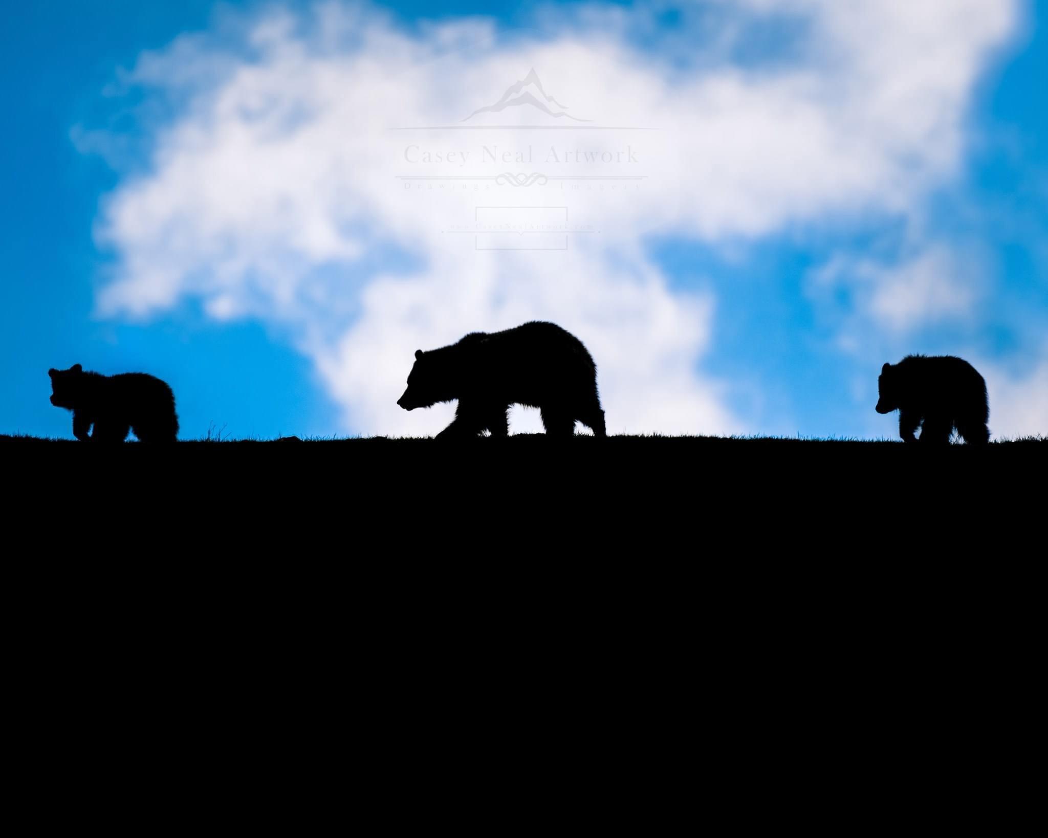 Yellowstone's Birthday,