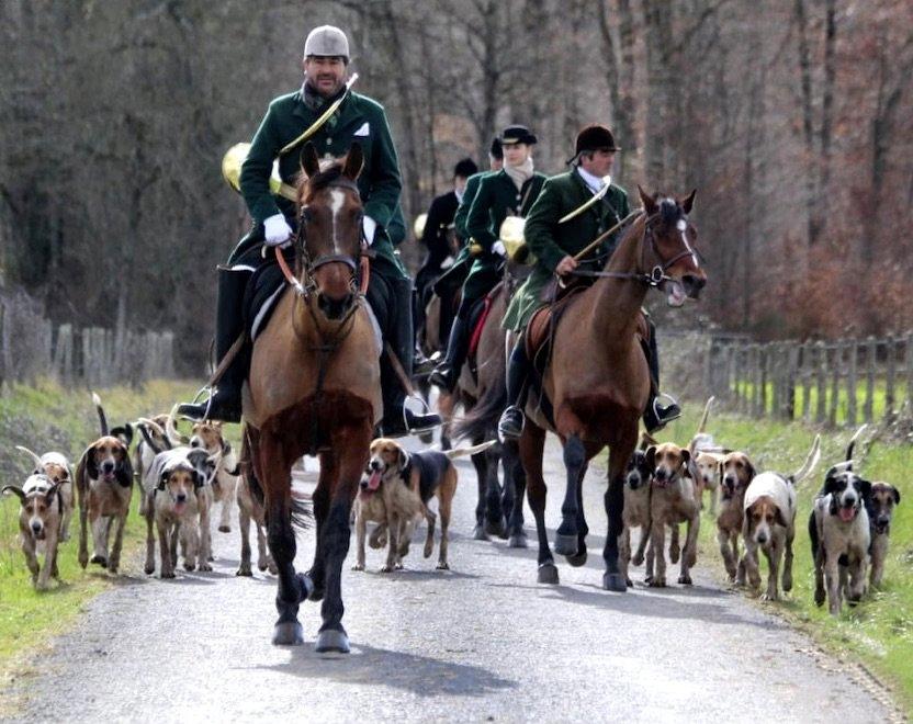 Le réseau social ultime et l'application gratuite pour les chasseurs : découvrez UH.APP