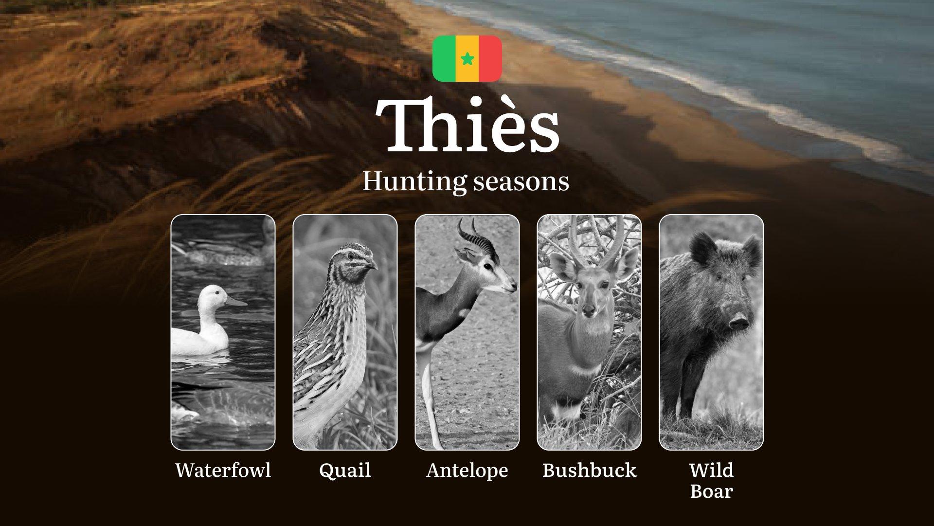 Hunting Seasons in the THIÈS Region: Time and Dates, Natural features, National hunting license, Tips on Tactics for Hunters