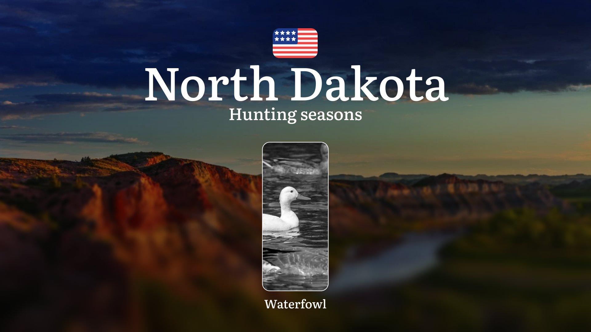 Waterfowl Hunting Seasons in North Dakota: Dates and Seasonality of Hunting, Bans, Restrictions and Protected Species