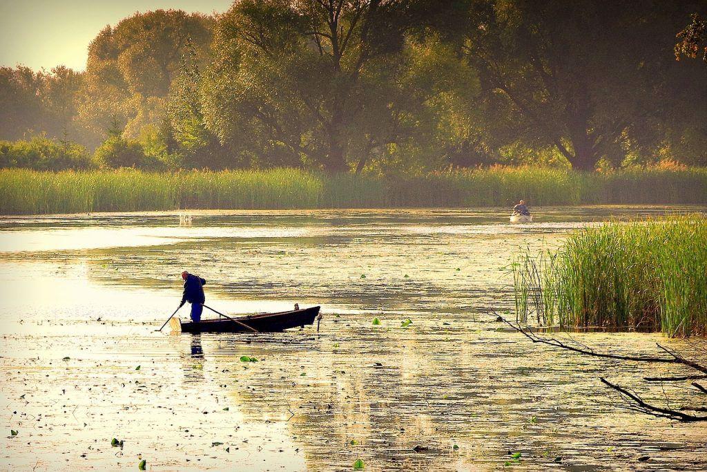 🐟 THE BEST FISHING PLACES IN GERMANY: BAVARIA DANUBE AREA
