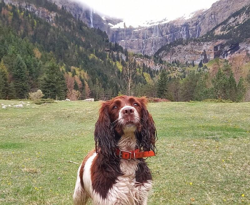 Voici riha et c'est 5 petit bébé  😍😍