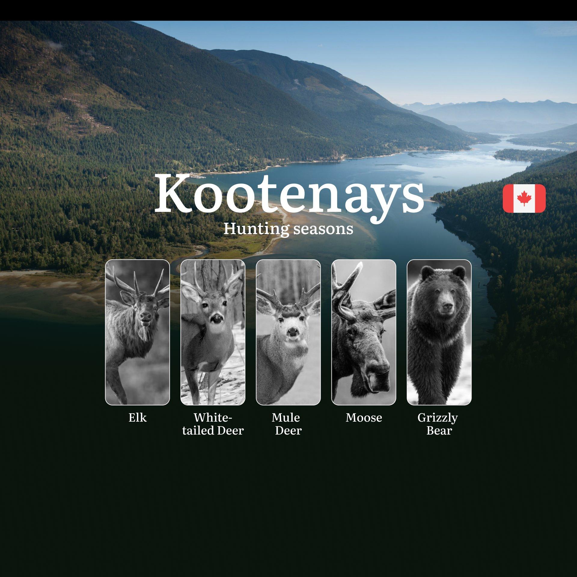 Hunting Seasons in KOOTENAYS: Master the Timing, Understand Regulations