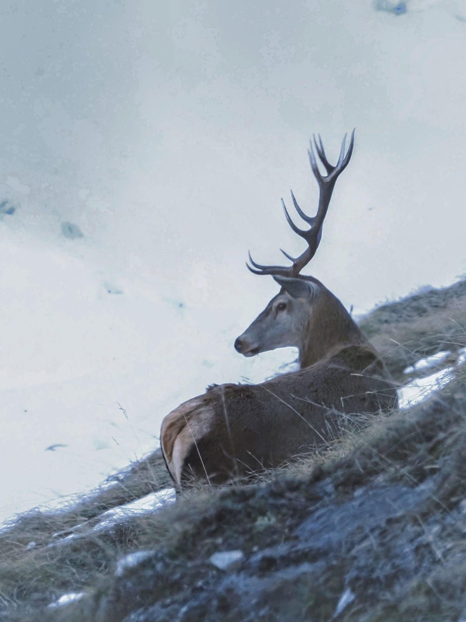 série prise en début de mois de Janvier en Savoie, dans la vallée des Bellevilles.