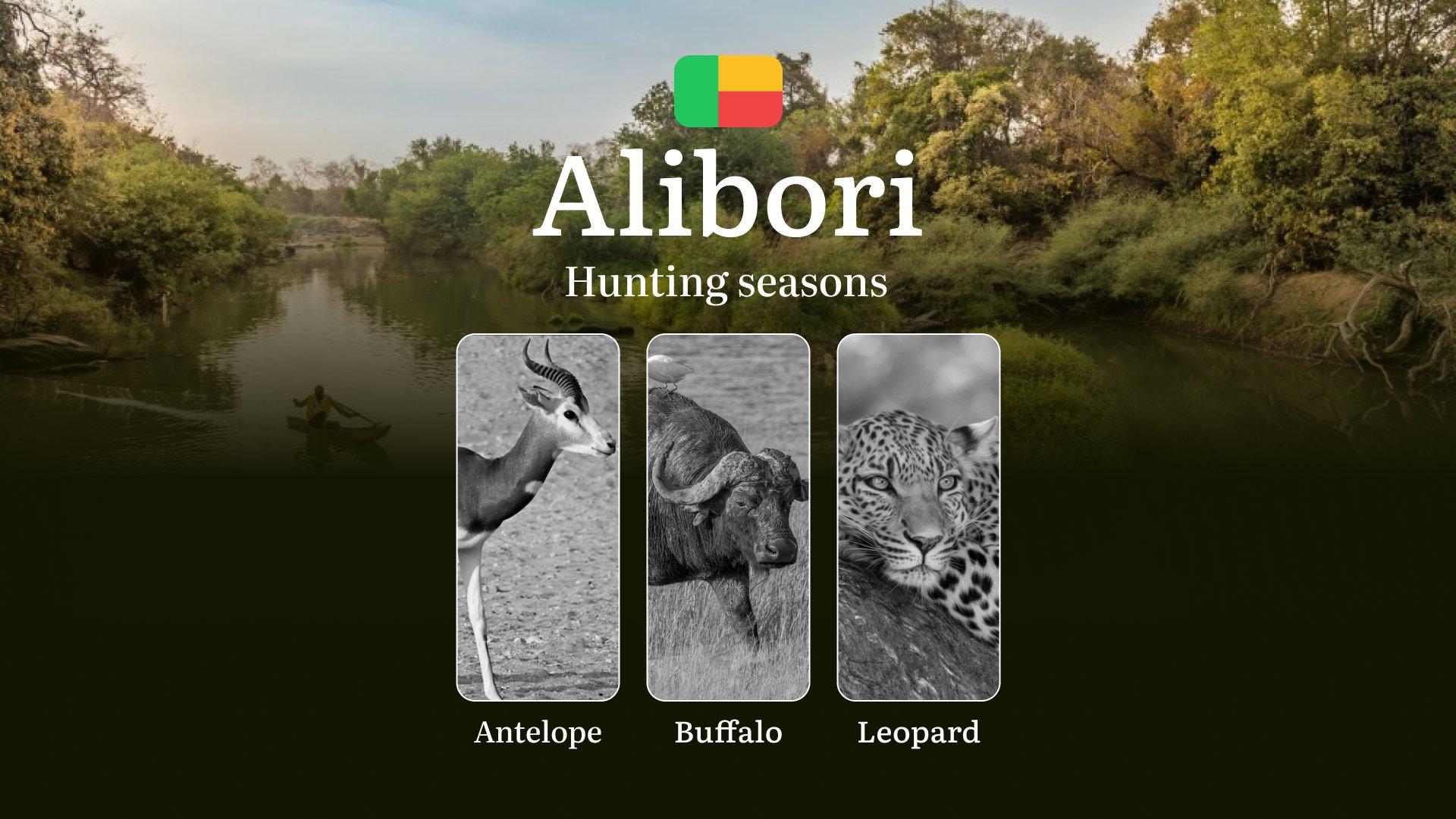Hunting Seasons in Benin, ALIBORI Region: Seasons, Licenses and Rules for Hunting, Hunting Permits, Planning Tips and Tactics
