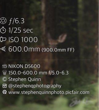 Deer season is upon us!