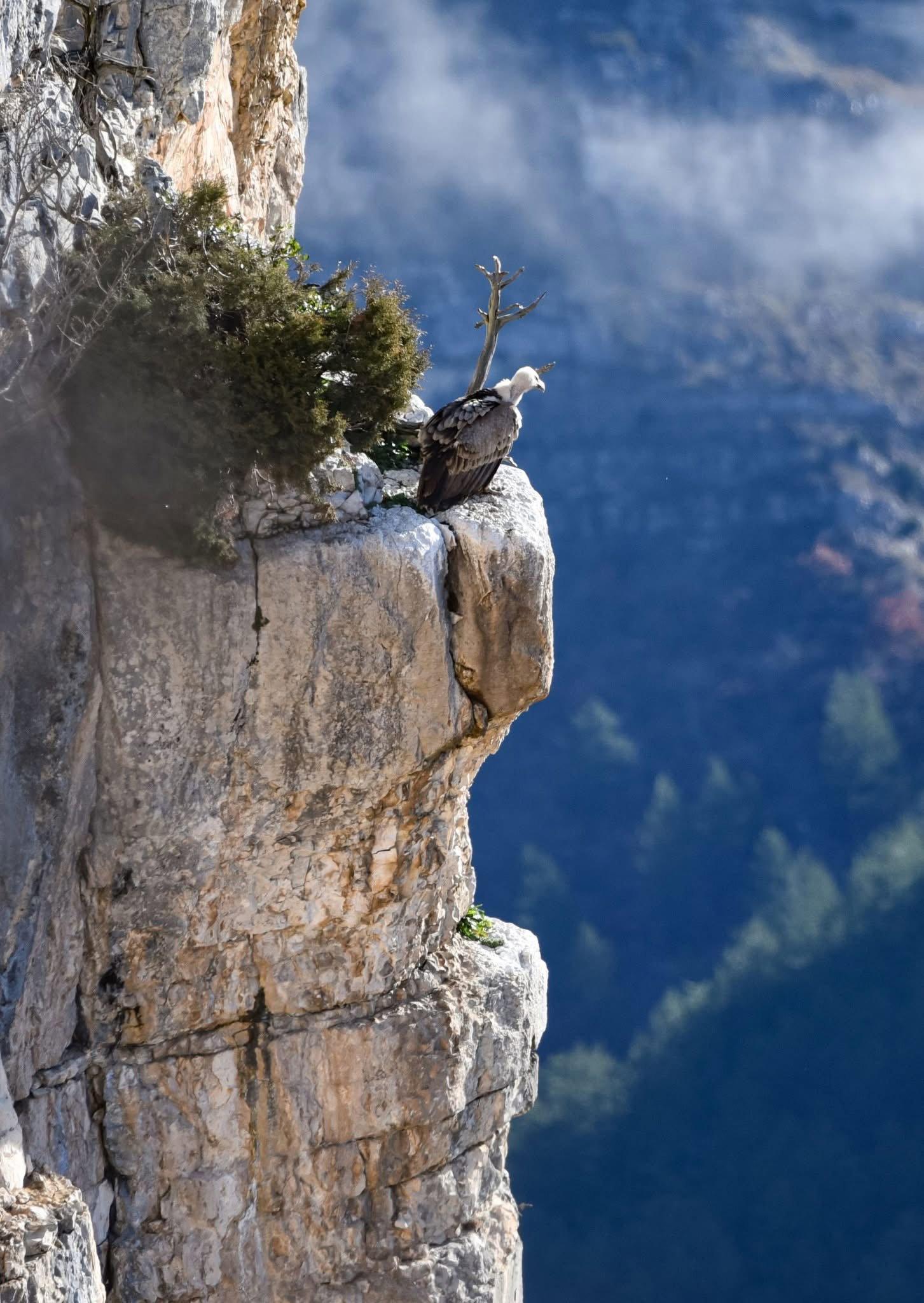 Entre les gorges de Saint-May et Remuzat, sous le soleil...
