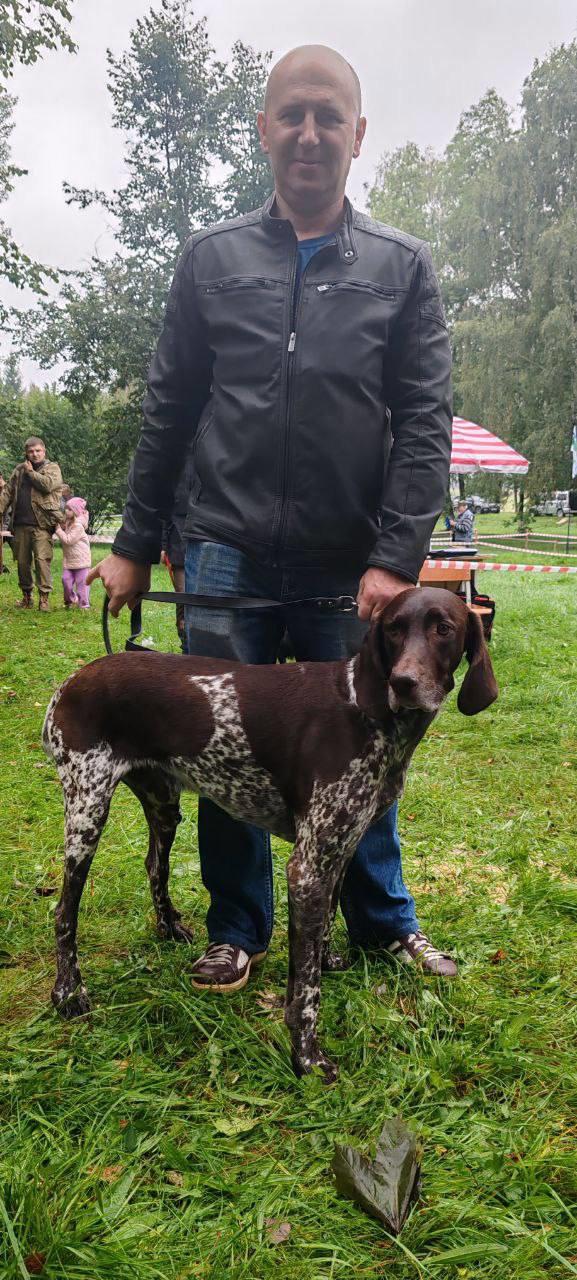 38-я Гродненская областная выставка охотничьих собак в Вороново: белорусский гончак, породы, чемпионы и будущее охотничьего собаководства