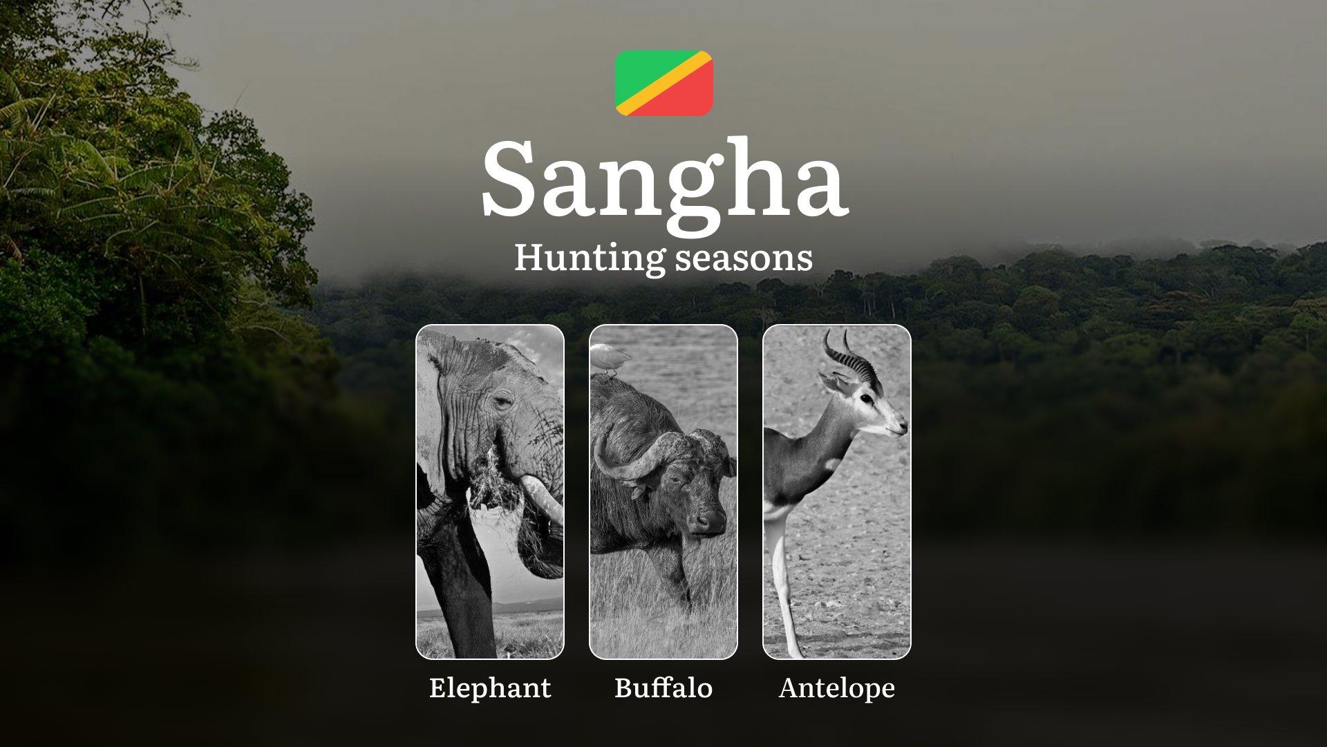 Hunting Dates in the Republic of the Congo, Sangha Region: Seasons and Time of Hunting, Licenses, and Rules, Tactics for Hunters and Permits