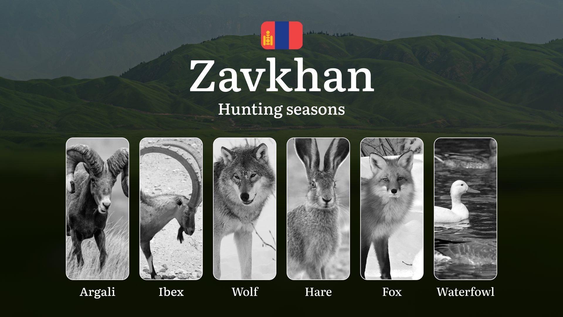 Hunting Seasons in Zavkhan Province: Restrictions, Bans, and Protected Species, Choosing Timing, Gear, and Tactics