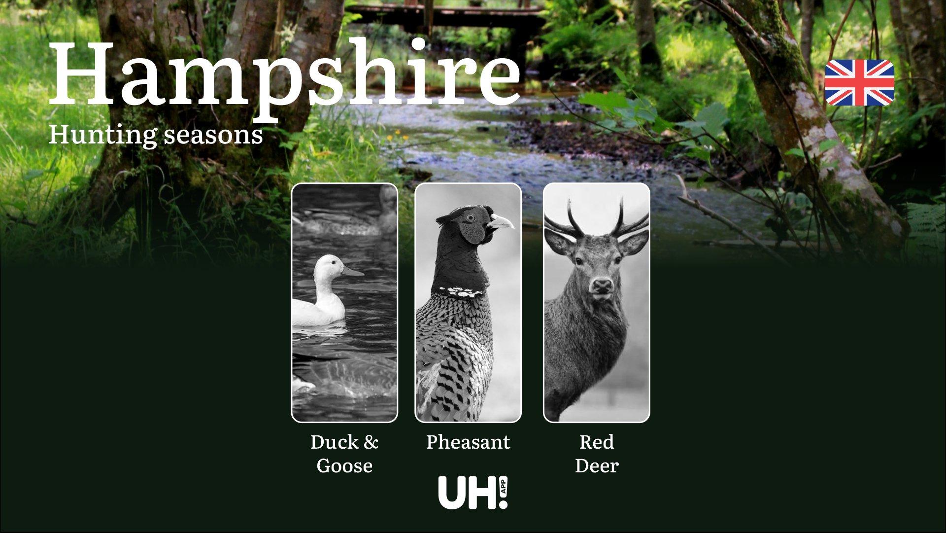 Hunting Seasons and Rules in Hampshire: Game Activity and Shooting Periods, How to Get a Hunting License in the Region