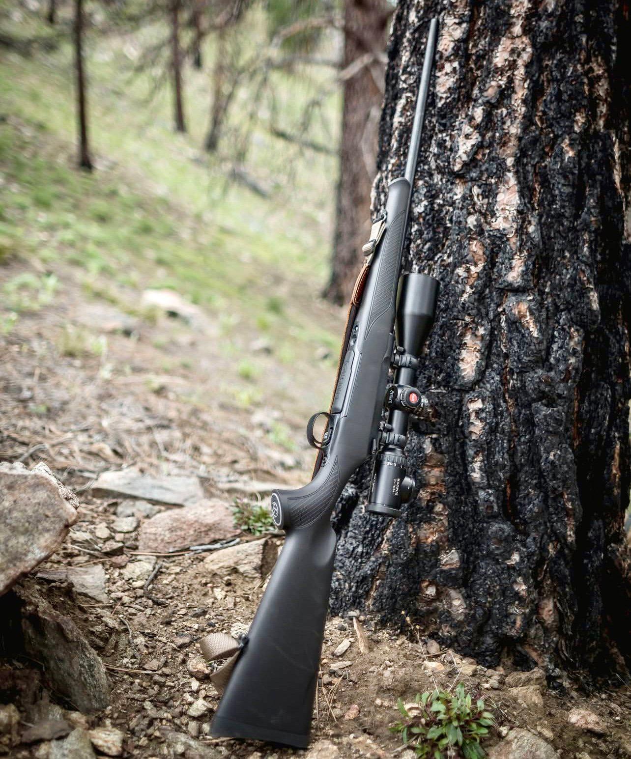 Sauer S100 Review: Best Budget Hunting Rifle?