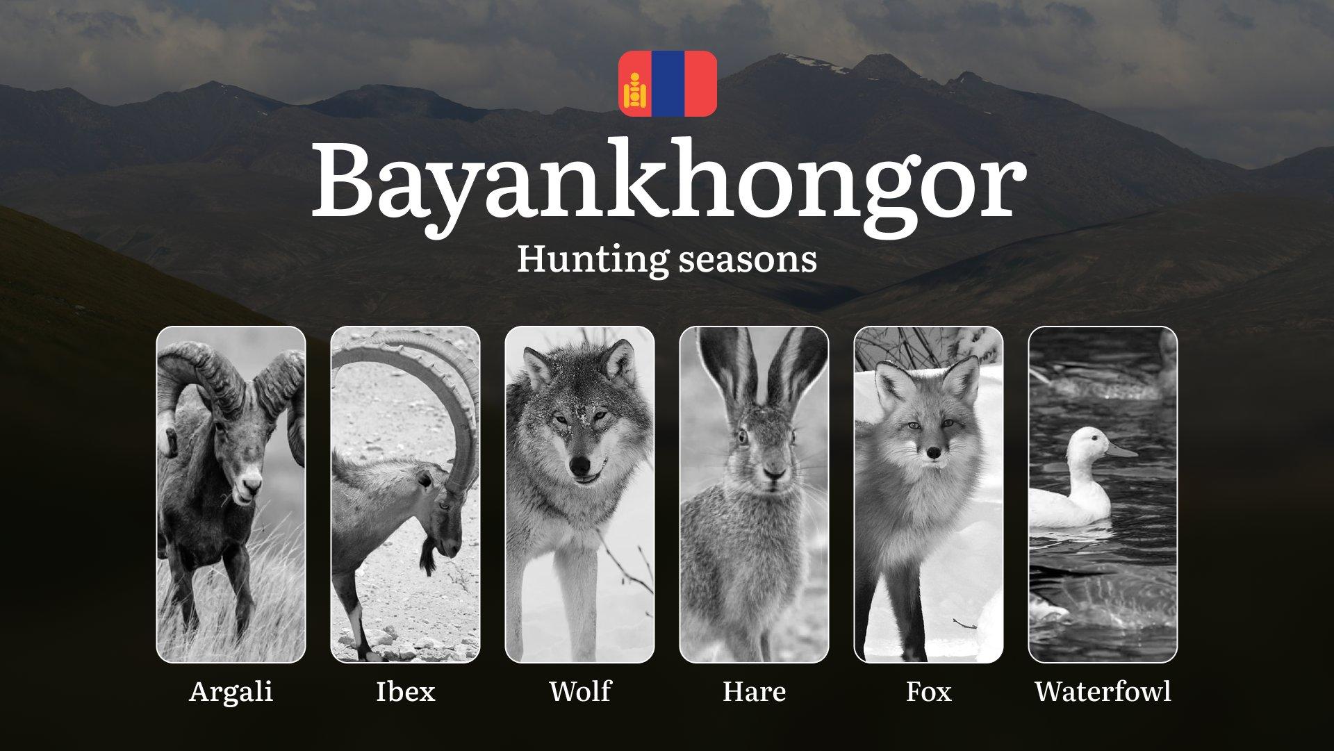 Hunting Seasons in Bayankhongor Province: Regulations, Permits, and Time for Hunting, Documents and Organizations