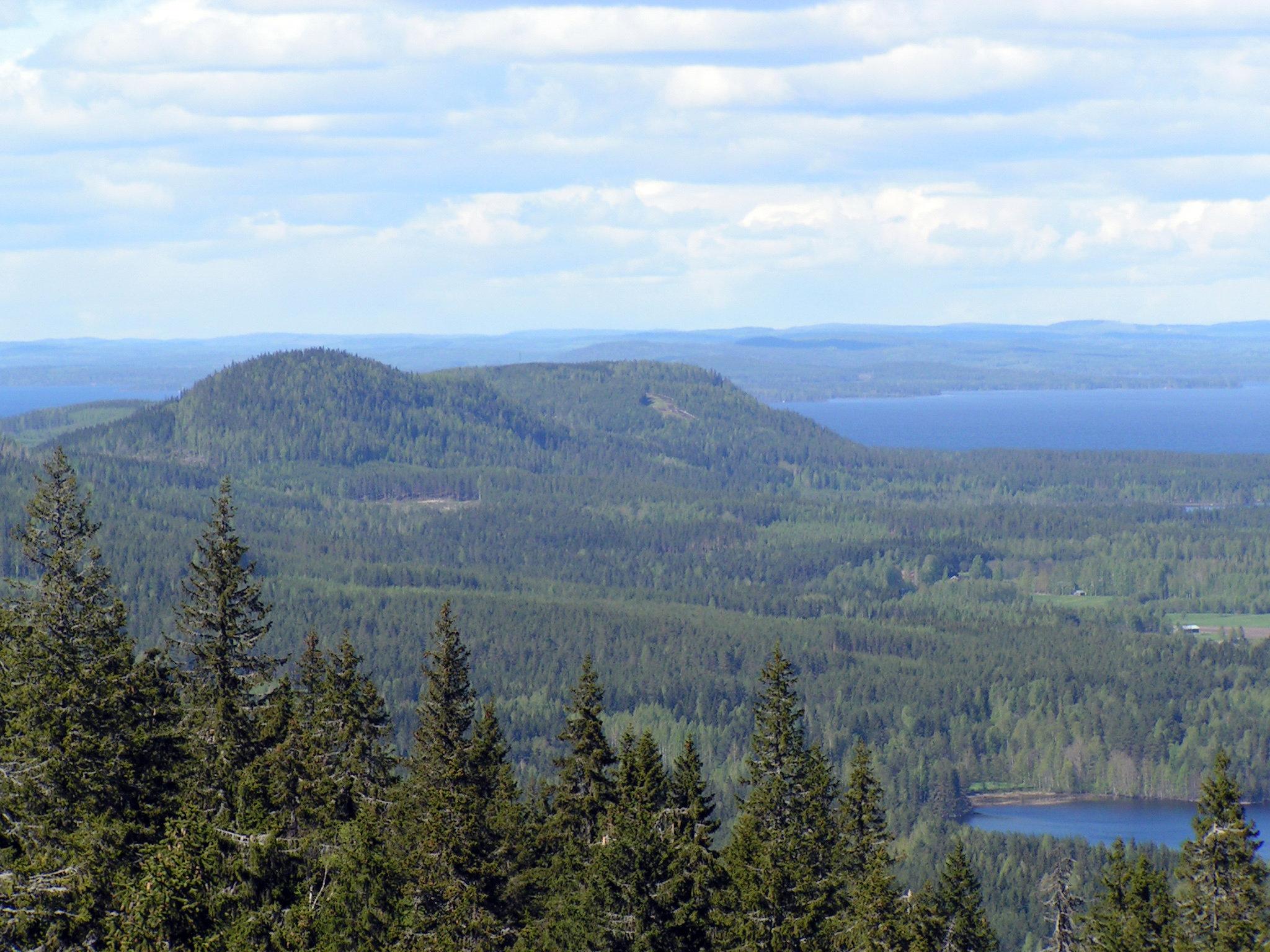 North Karelia Hunting: A Complete Guide to Geography, Laws, Seasons, and Traditions
