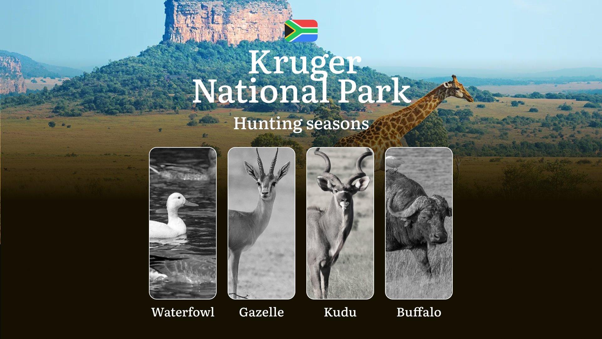 Hunting Seasons in South Africa: Kruger National Park Regulations, Timings and Periods, Limits and Rules, Tactics for Hunters