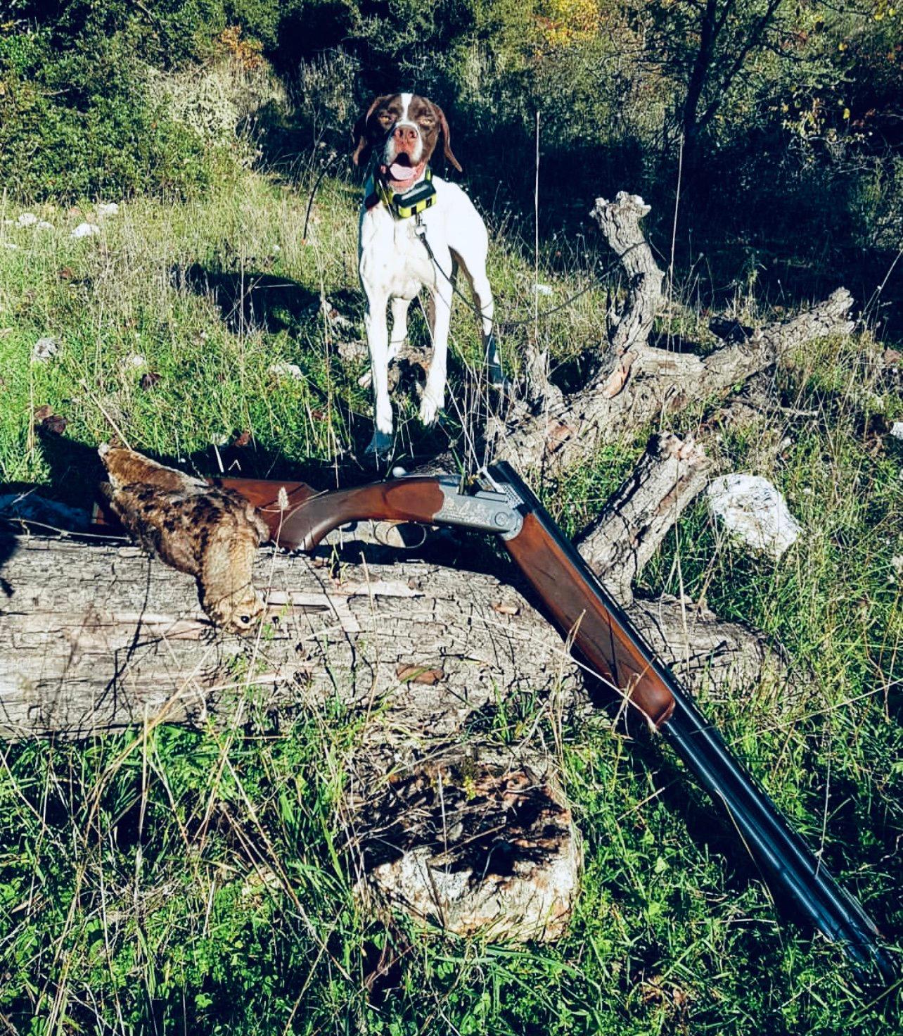 Топ-5 ружей Beretta для охоты: выбор профессионалов