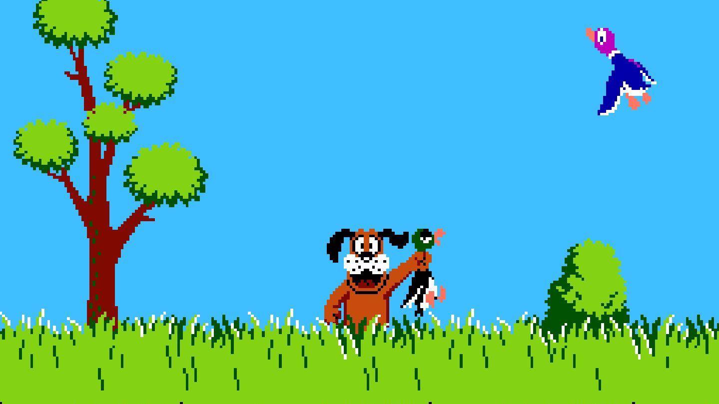DUCK HUNT