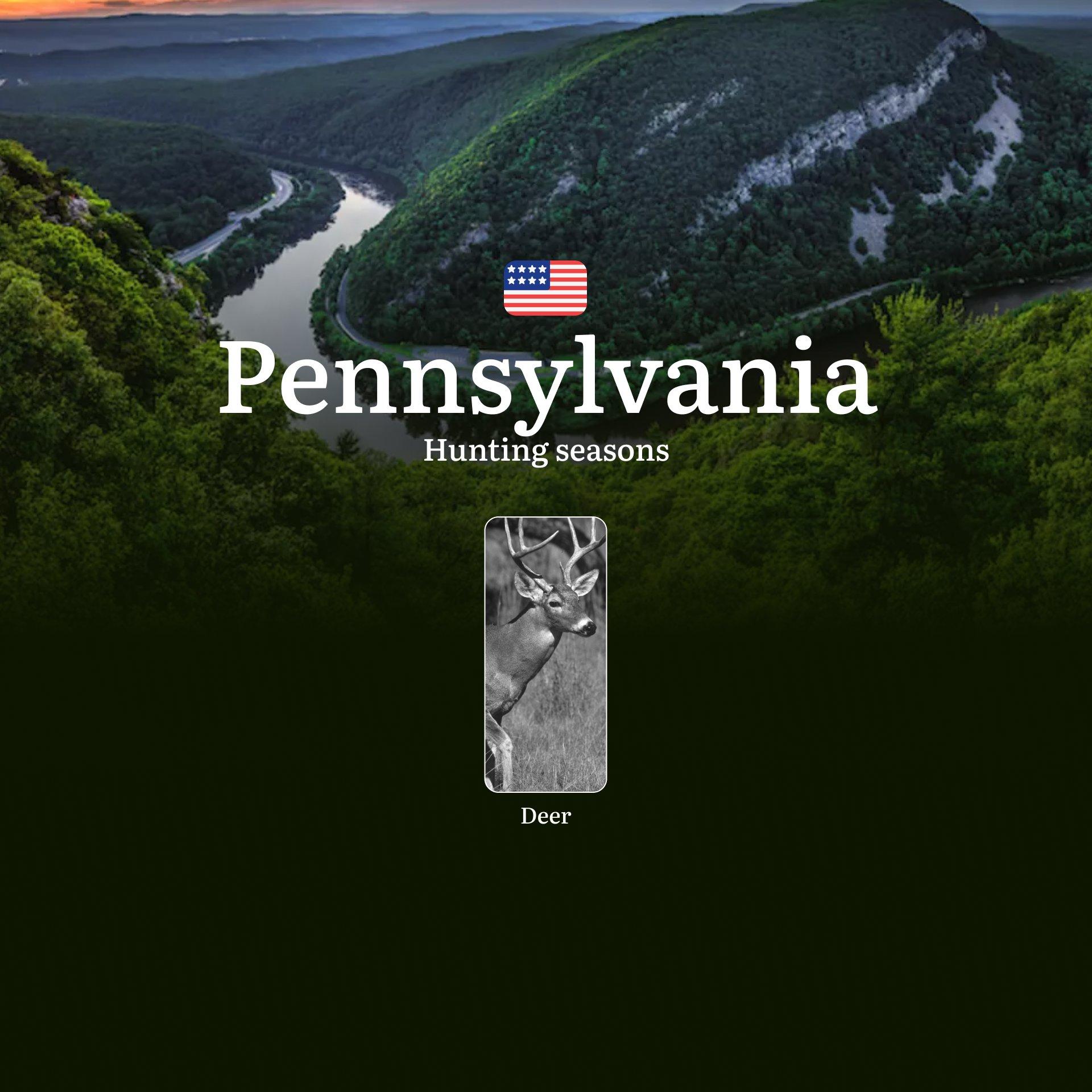 Seasons of Hunting in Pennsylvania: Dates, Licenses and Tactics, Consequences of Violating, Restrictions and Bans