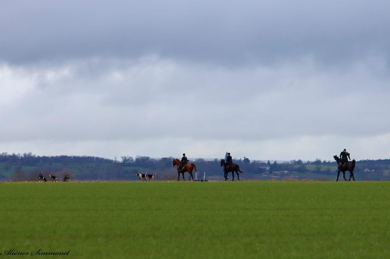Anne de France et sa passion pour la chasse, un bon exemple..