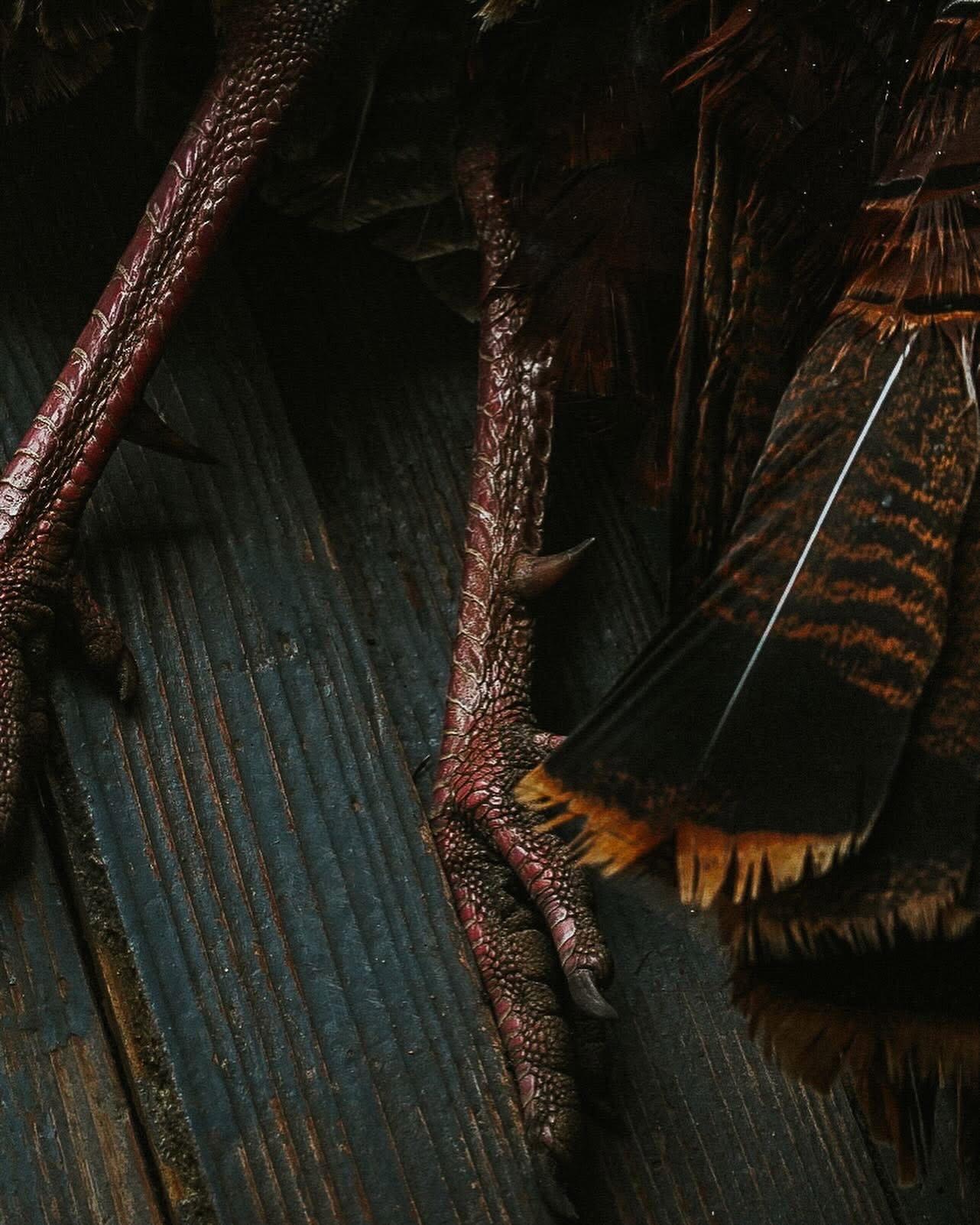The final echoes of duck season fade into silence, leaving behind empty skies and quiet marshes.