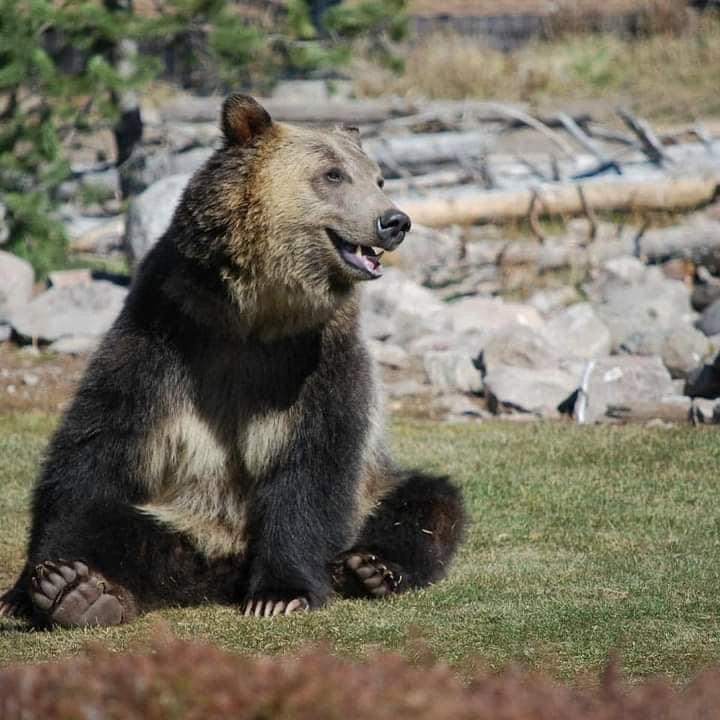 Montana!