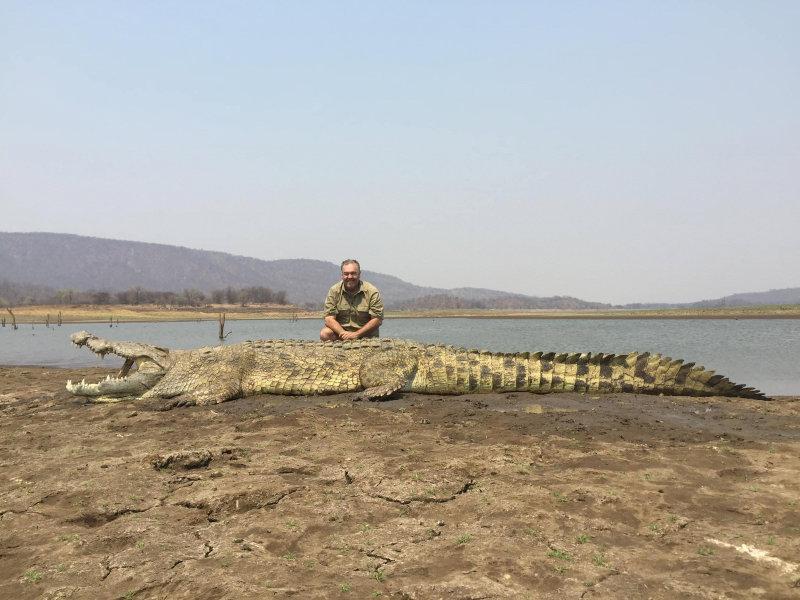 Some fantastic hippo and croc taken in lake Kariba Zimbabwe.