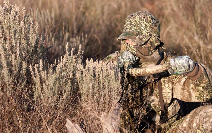 7 Reasons Why OTC Elk Tags Beat Draw Tags