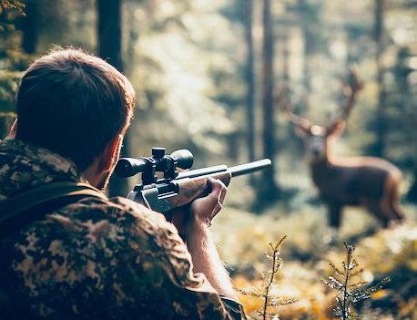 Hunting FAQ Central: Expert Tips, Gear, Laws & Season Guides banner