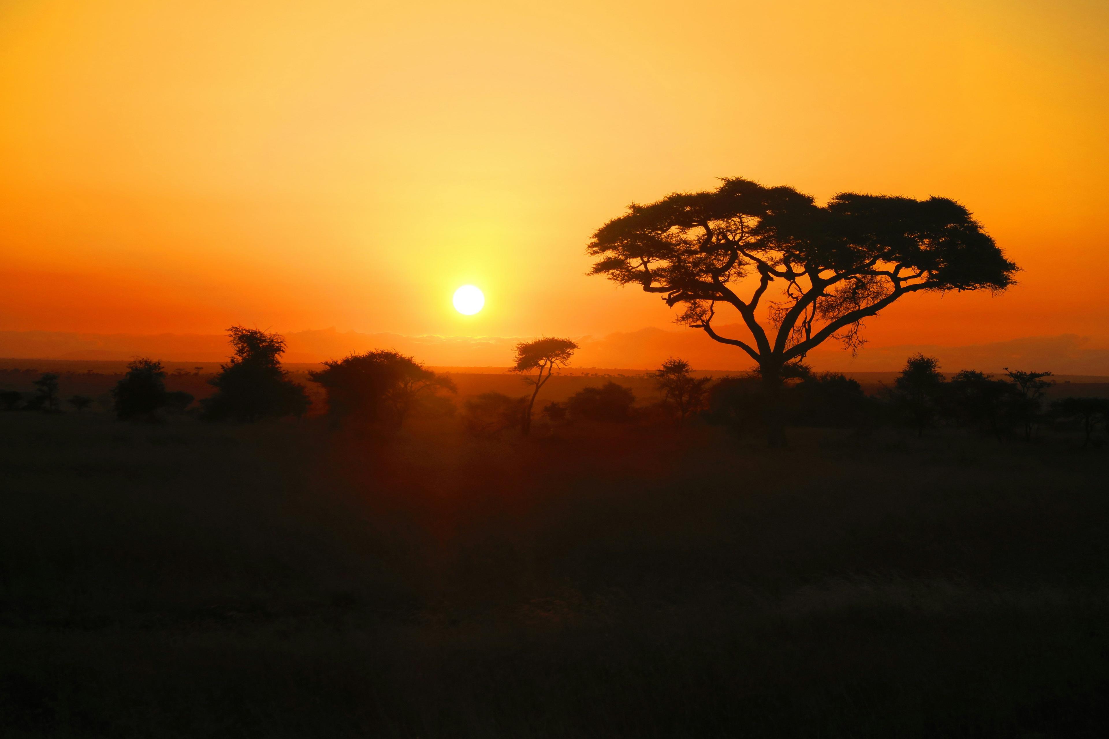 Hunting in Atakora: Laws, Legislation and Сlubs.