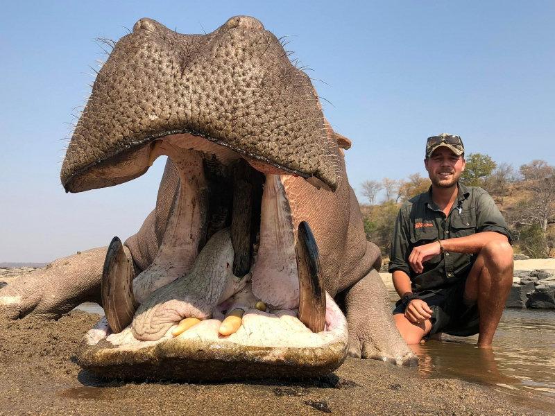 Some fantastic hippo and croc taken in lake Kariba Zimbabwe.