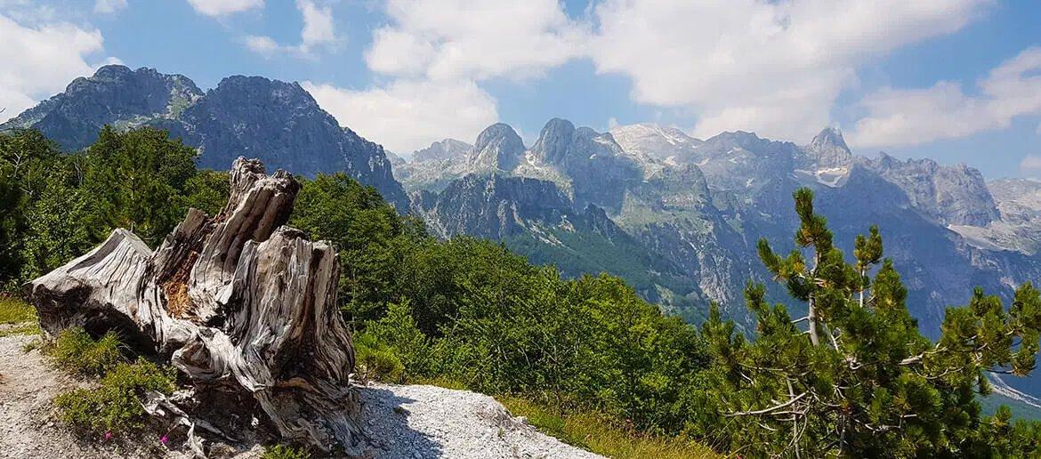 Albania, new law to extend the hunting ban by 5 years