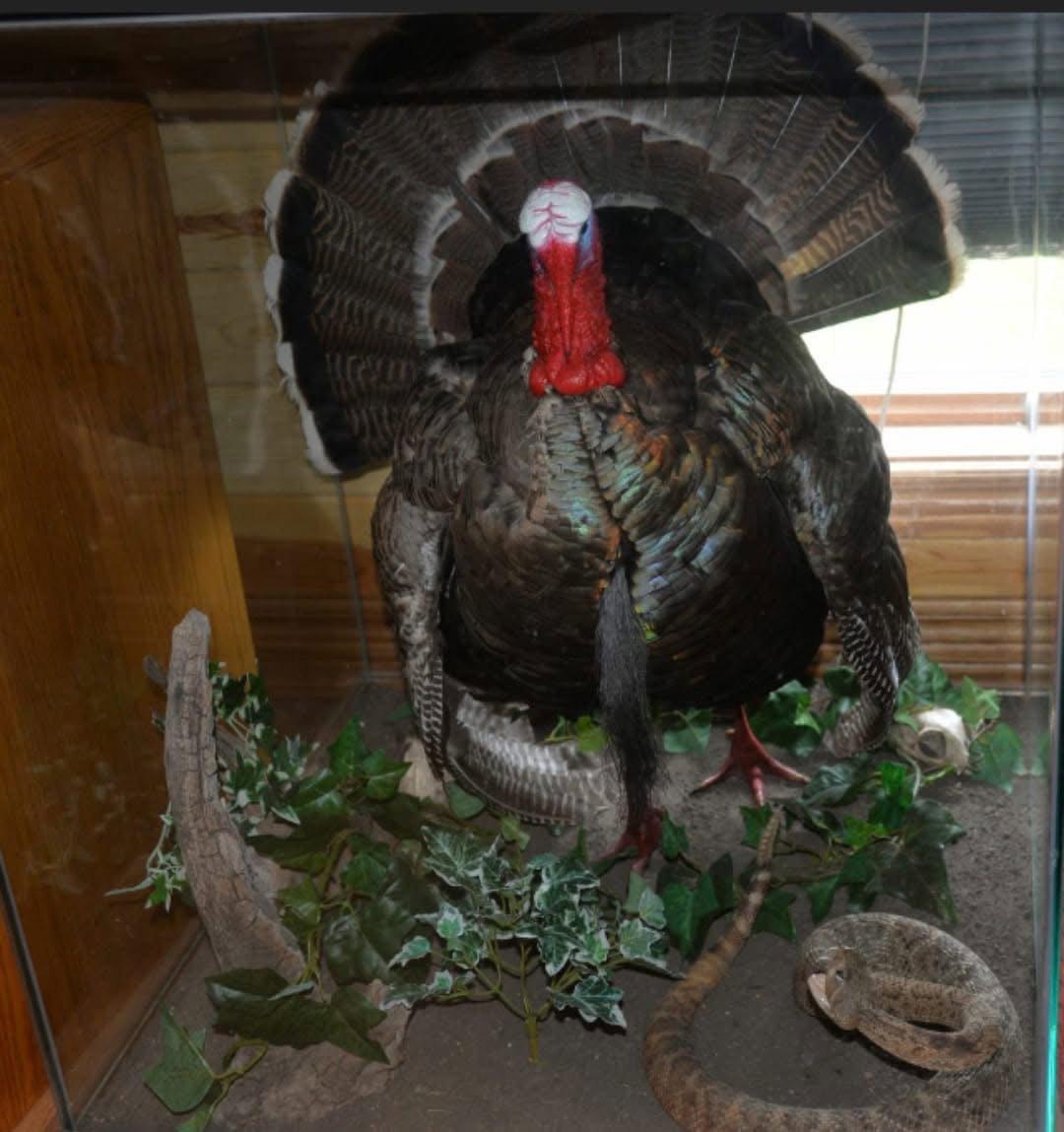 Mounts for sale in Northern Wisconsin pm me for more (details) 