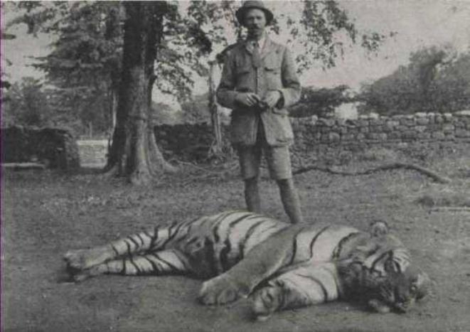 🐅 Охота на "дьявольского" тигра 🐅