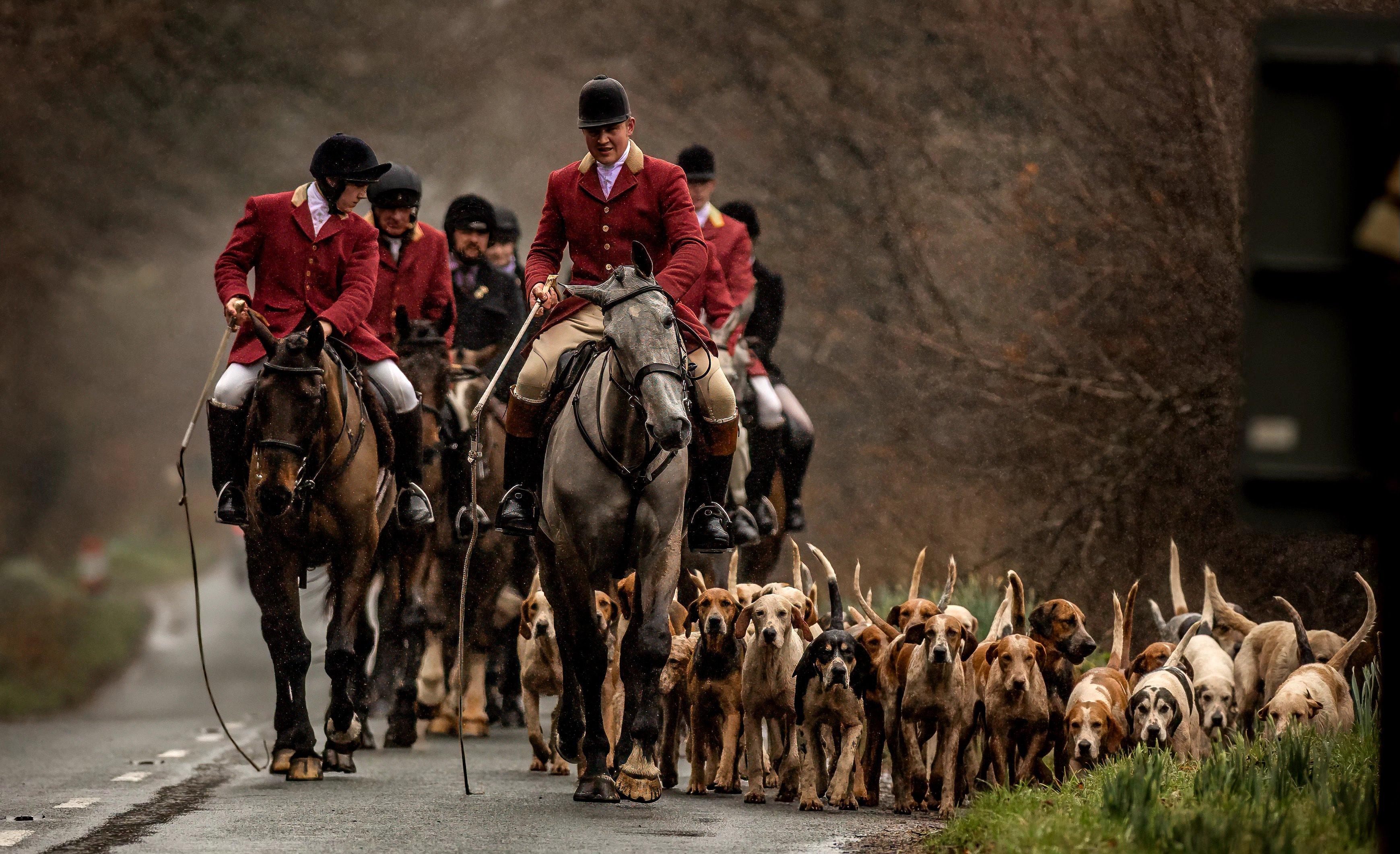 Walking Gun Field Sports Photography