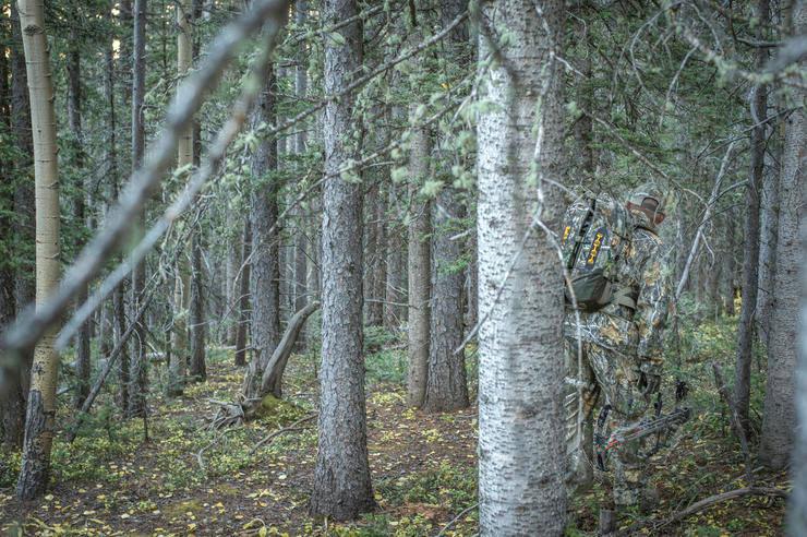 Elk Hunting on Your Own